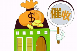 房地产老板讨债的故事：揭秘债务危机下的生存之道
