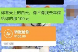 讨债起诉的程序：全面解析法律途径追回欠款