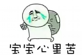 金溪追债公司哪里找？专业机构助您解决债务难题