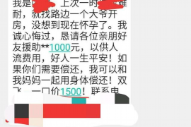 催收人员看到的资料：揭秘债务催收背后的信息世界