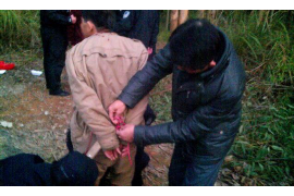 梅里斯讨债公司收费标准：揭秘专业讨债服务的价格构成