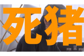 自贡追款公司哪里找？专业团队助您轻松解决欠款问题