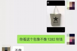 贷款催收变更地址：了解新规，保障您的权益