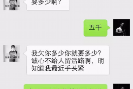 邵武清债公司排名前十名：揭秘高效债务处理专家