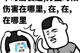 萨迦催收公司：专业高效，助力金融债权回收